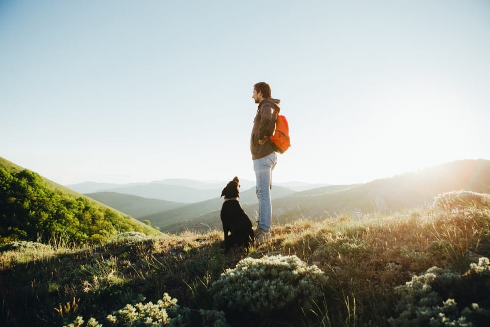 How to Build Your Life Around Recovery