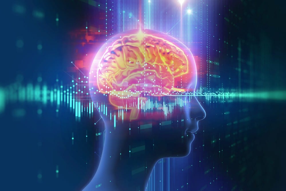 How Does Ecstasy Use Impact the Brain?