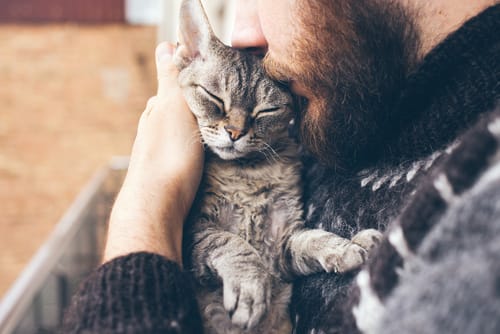 A Companion Animal May Be Just What You Need in Sobriety