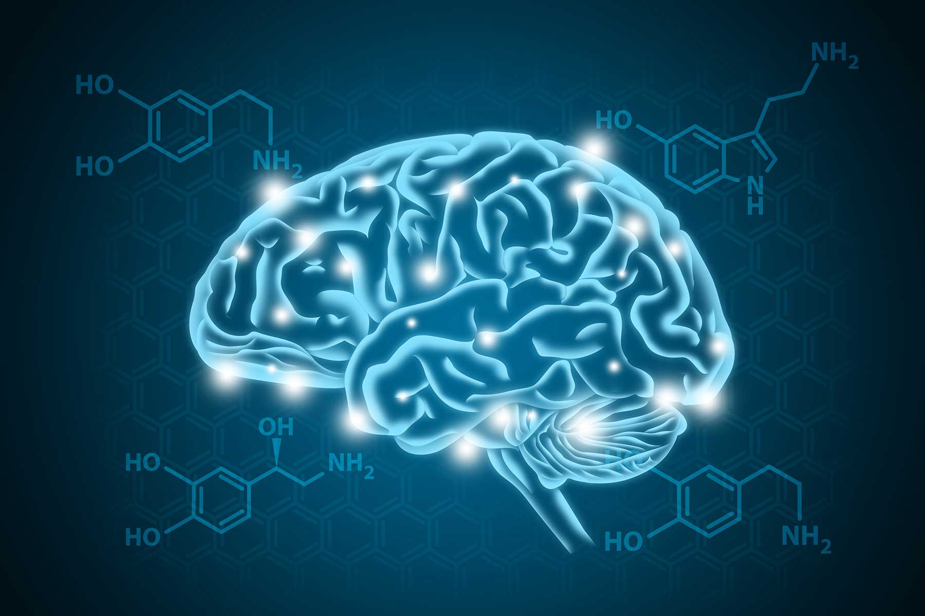 What Is Dopamine In The Brain